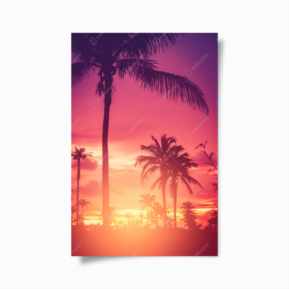 Poster tropischer sonnenuntergang mit palmen – Wallnifity®