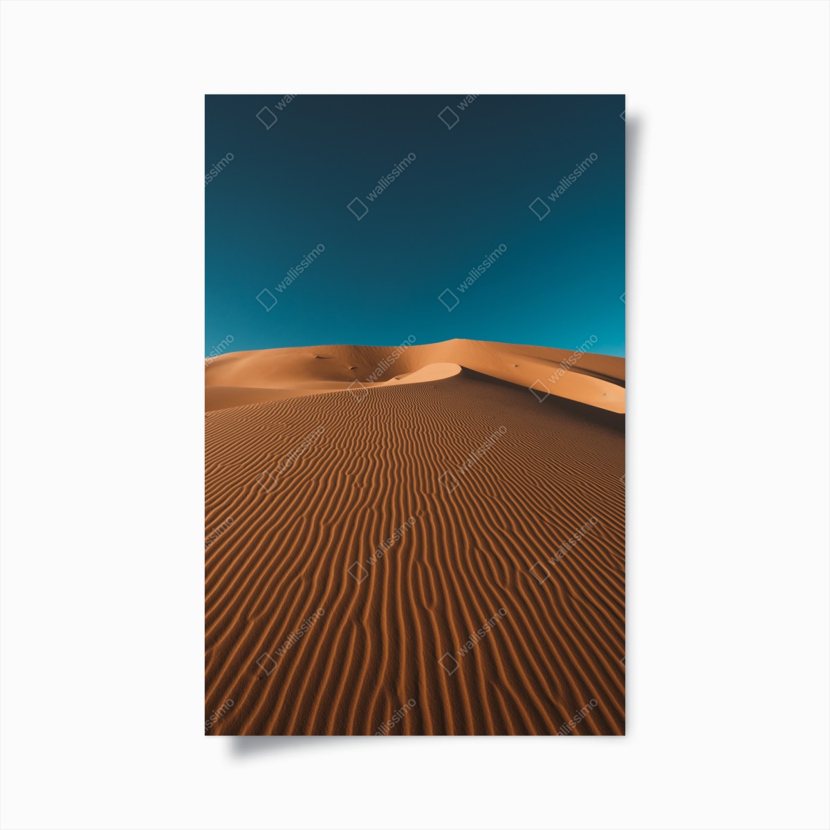 Poster goldene sanddünen unter tiefblauem himmel – Wallnifity®