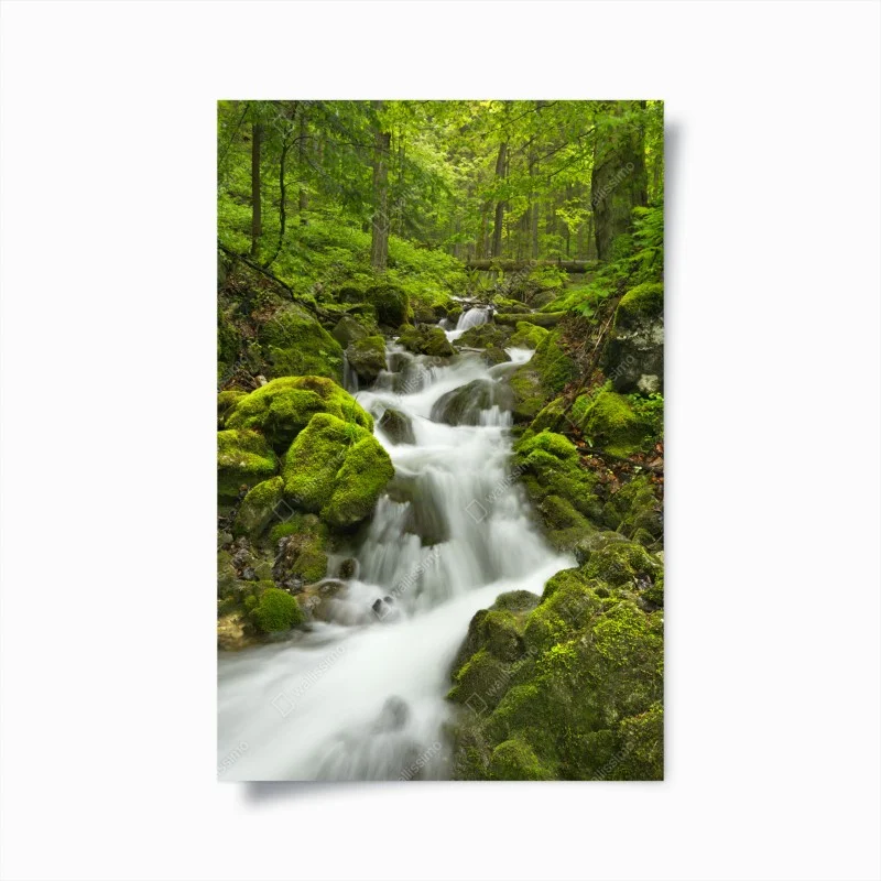 Poster moosiger wasserfall