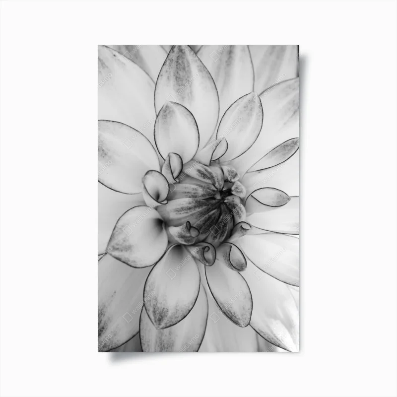 Minimalistisch – Wallnifity®