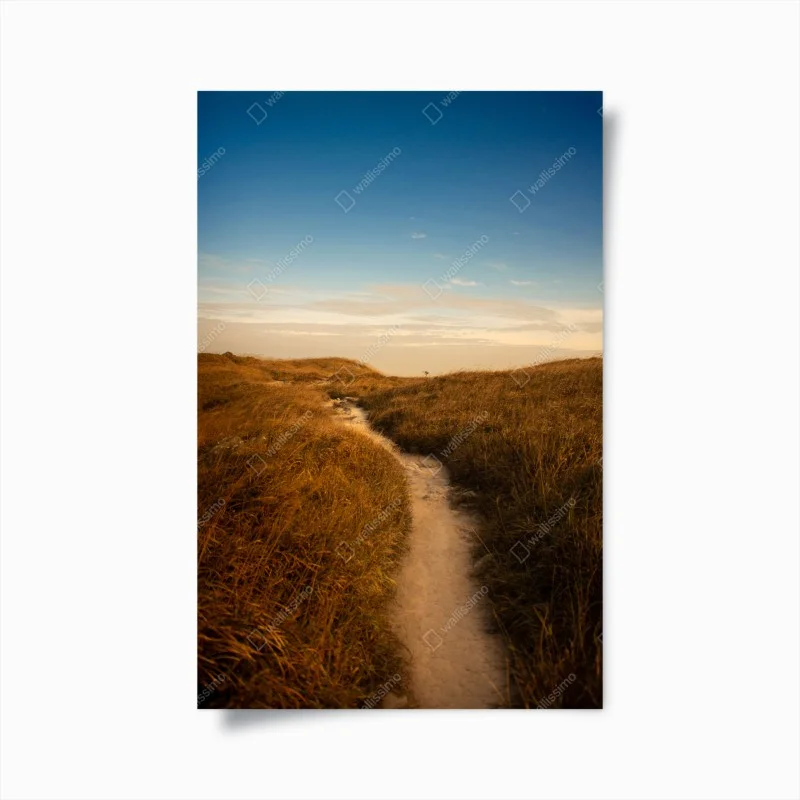 Poster sonnenbeschienener weg durch die dünen