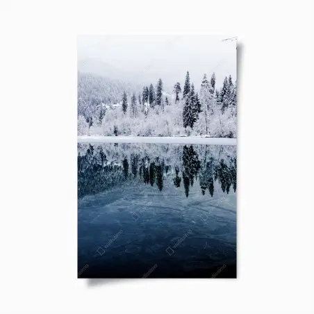 Poster winterlicher see mit spiegelung im verschneiten wald – Wallnifity®