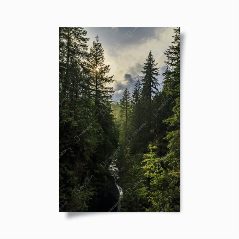 Wälder – Wallnifity®