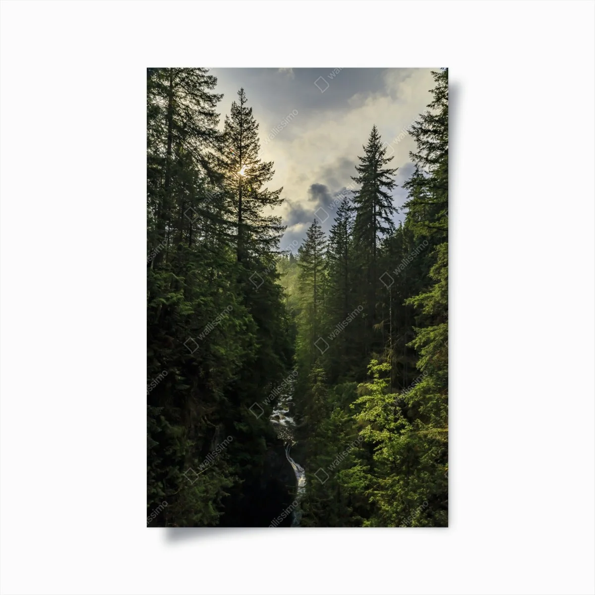Poster nebliger immergrüner wald mit wasserfall – Wallnifity® Poster nebliger immergrüner wald mit wasserfall – Wallnifity®