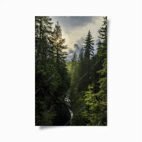 Poster nebliger immergrüner wald mit wasserfall – Wallnifity®