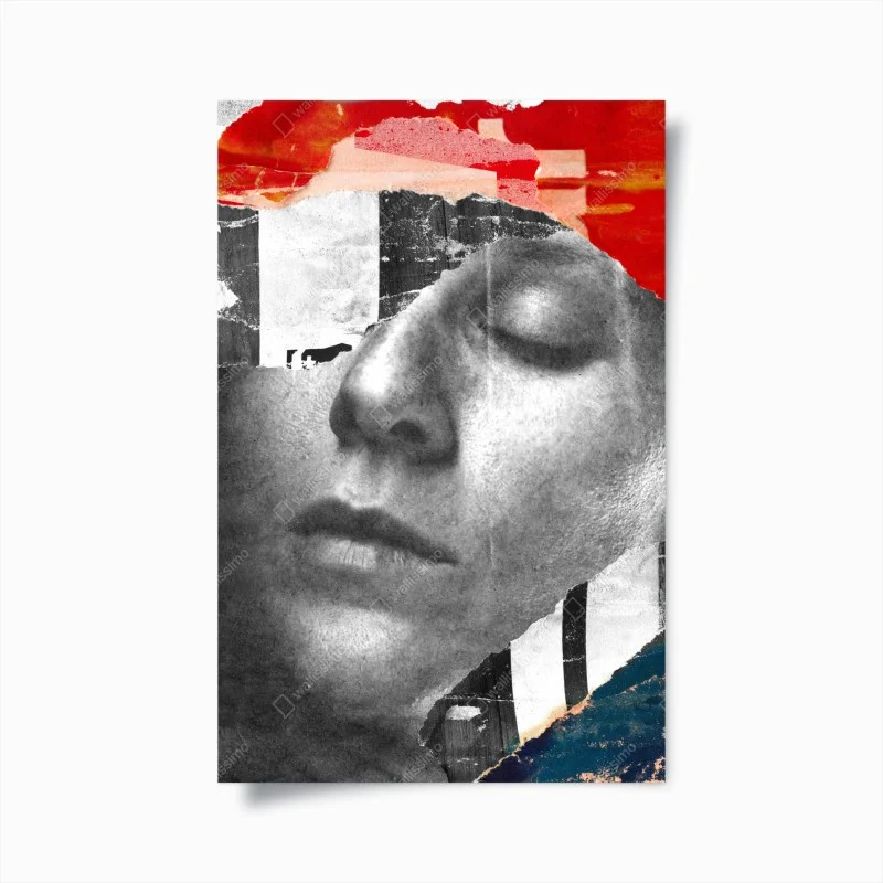 Poster zerrissene porträt-collage