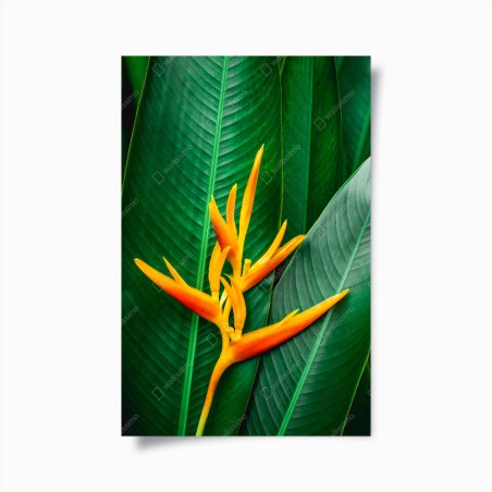 Poster leuchtende heliconia vor grünen blättern – Wallnifity®