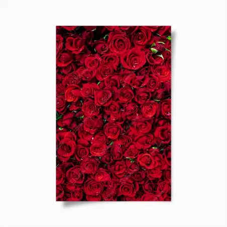 Poster dichte wand aus roten rosen – Wallnifity®
