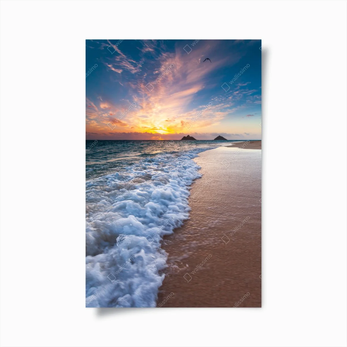 Poster ruhiger sonnenaufgang am meeresufer – Wallnifity® Poster ruhiger sonnenaufgang am meeresufer – Wallnifity®