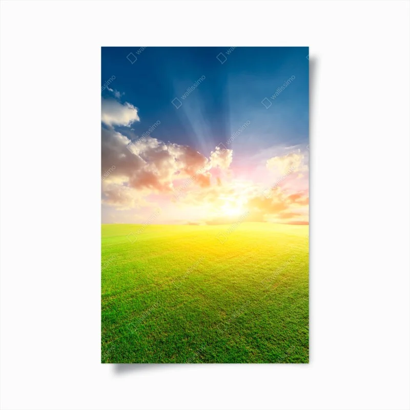Natur – Wallnifity®