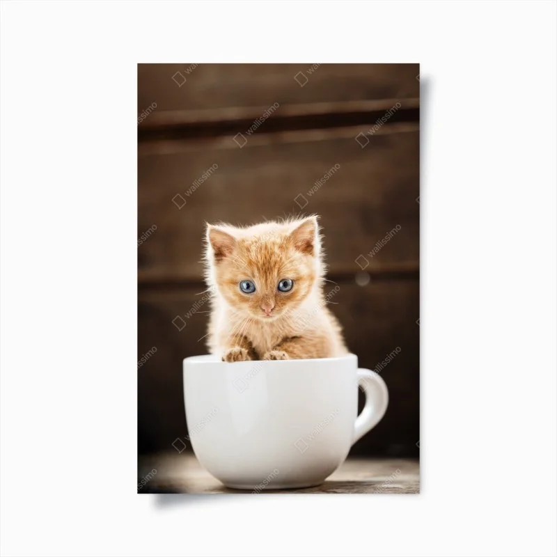 Kinderzimmer – Wallnifity®