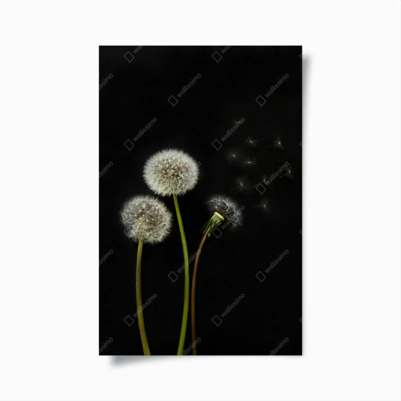 Minimalistisch – Wallnifity®