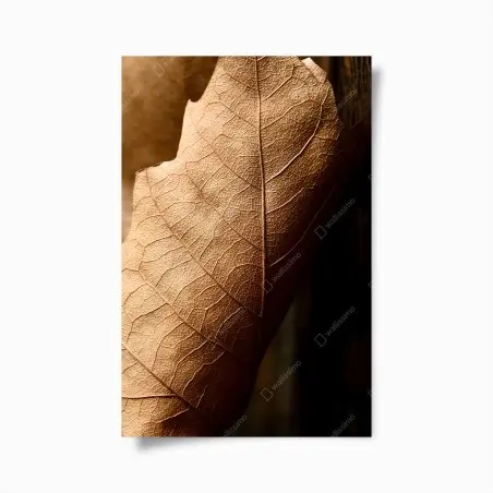 Poster strukturiertes trockenes blatt nahaufnahme – Wallnifity®