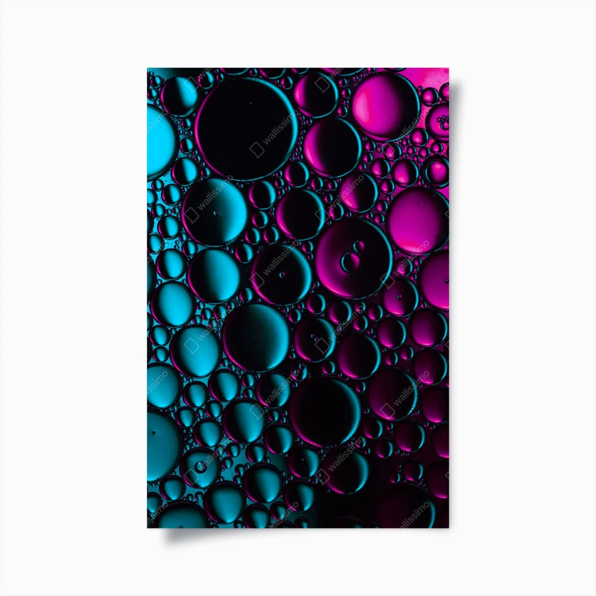 Poster türkis-magenta blasenmuster – Wallnifity® Poster türkis-magenta blasenmuster – Wallnifity®