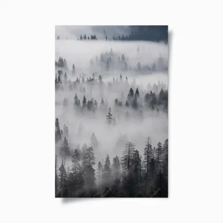 Poster nebeliger kiefernwald – Wallnifity®