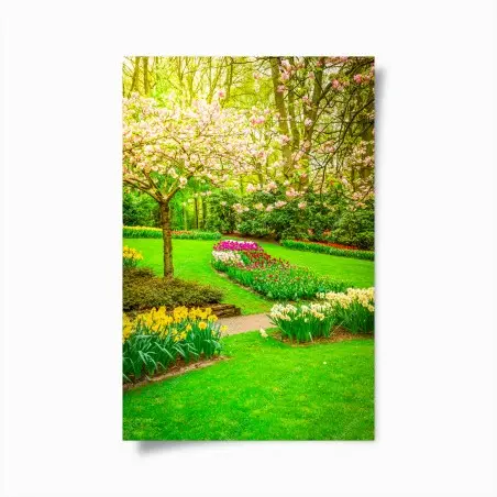 Poster frühlingsgarten in blüte: tulpen und kirschblüten – Wallnifity®