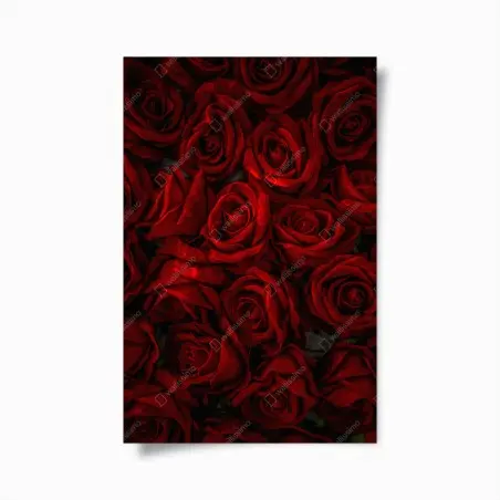 Poster intensive rote rosen nahaufnahme – Wallnifity®