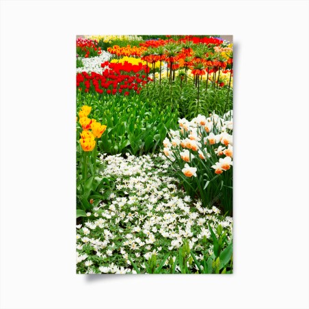 Poster lebendiger frühlingsblumengarten – Wallnifity®