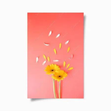 Poster sonnige gelbe gerbera auf korallfarbenem hintergrund – Wallnifity®