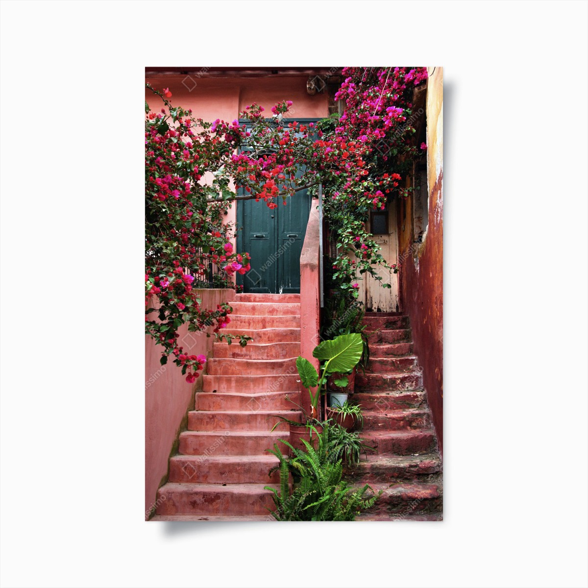 Poster treppe mit bougainvillea und grünen pflanzen – Wallnifity®