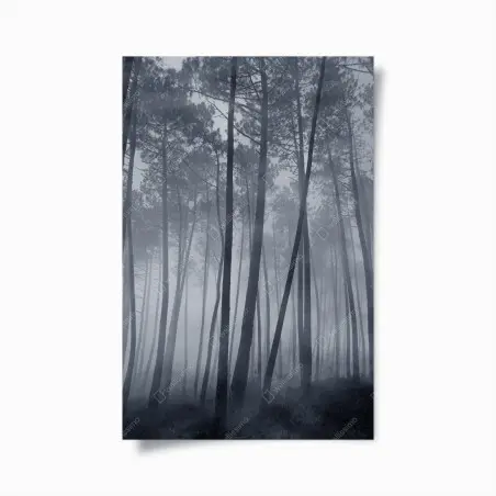 Poster nebliger kiefernwald bei nacht – Wallnifity®