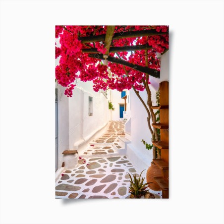 Poster sonnige gasse in Griechenland mit bougainvillea – Wallnifity®