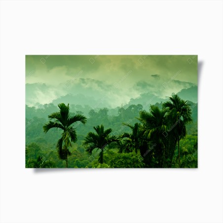 Poster neblige tropische dschungellandschaft – Wallnifity®