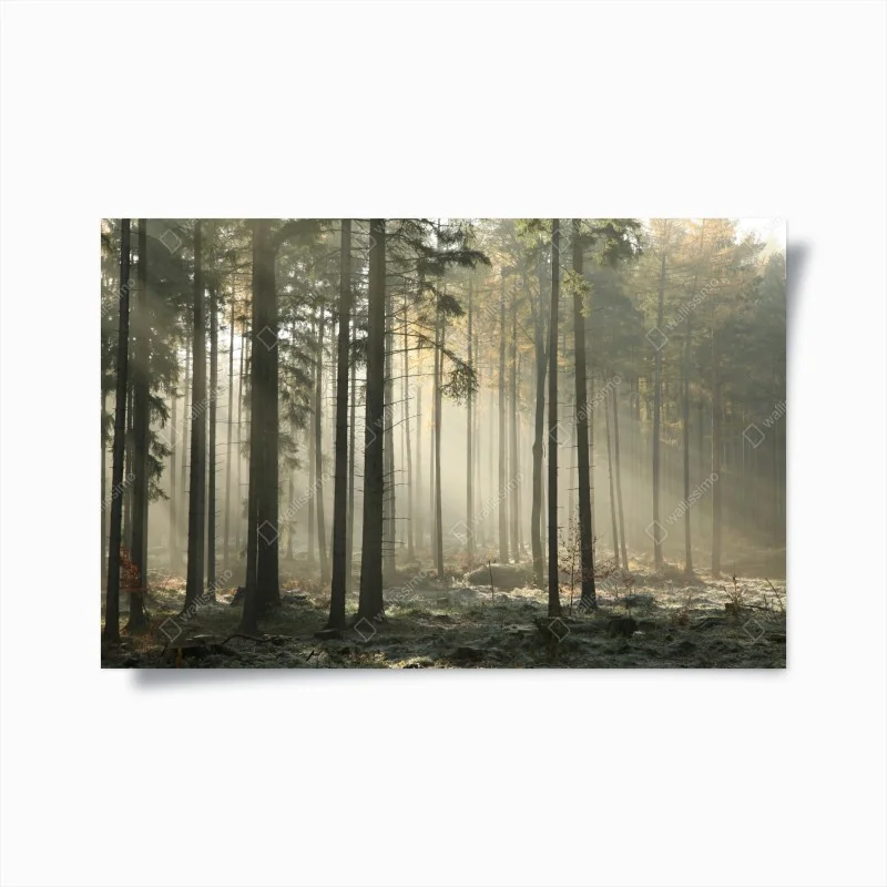 Natur – Wallnifity®