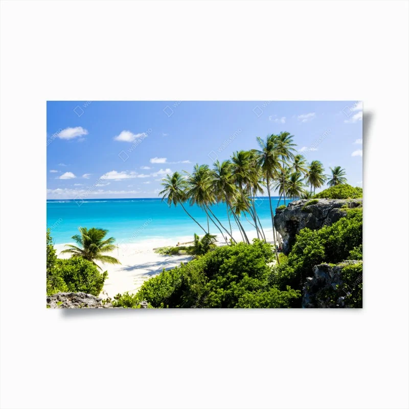 Natur – Wallnifity®