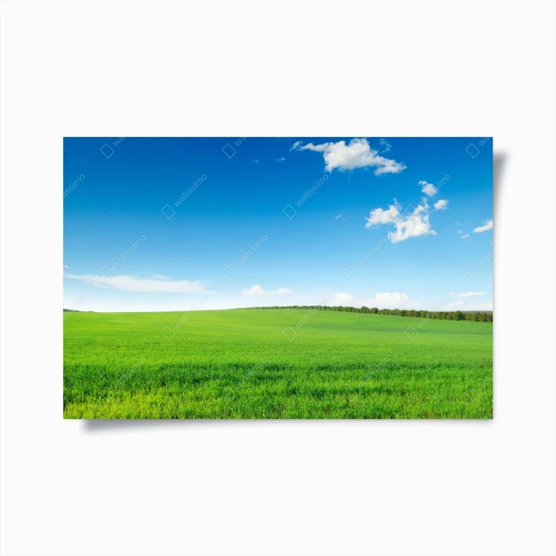 Natur – Wallnifity®