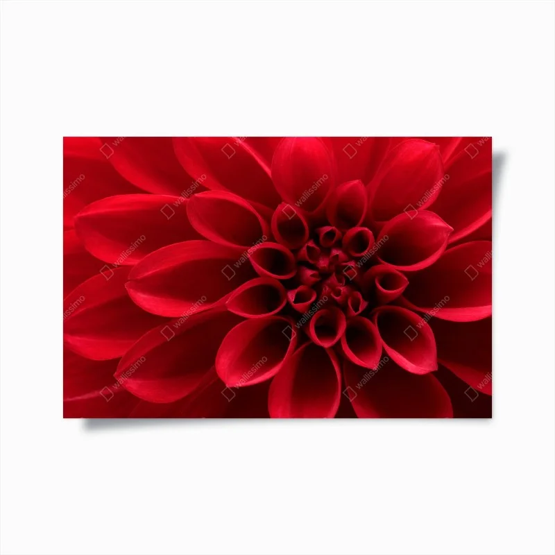 Schlafzimmer – Wallnifity®