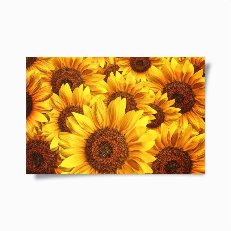 Blumen – Wallnifity®