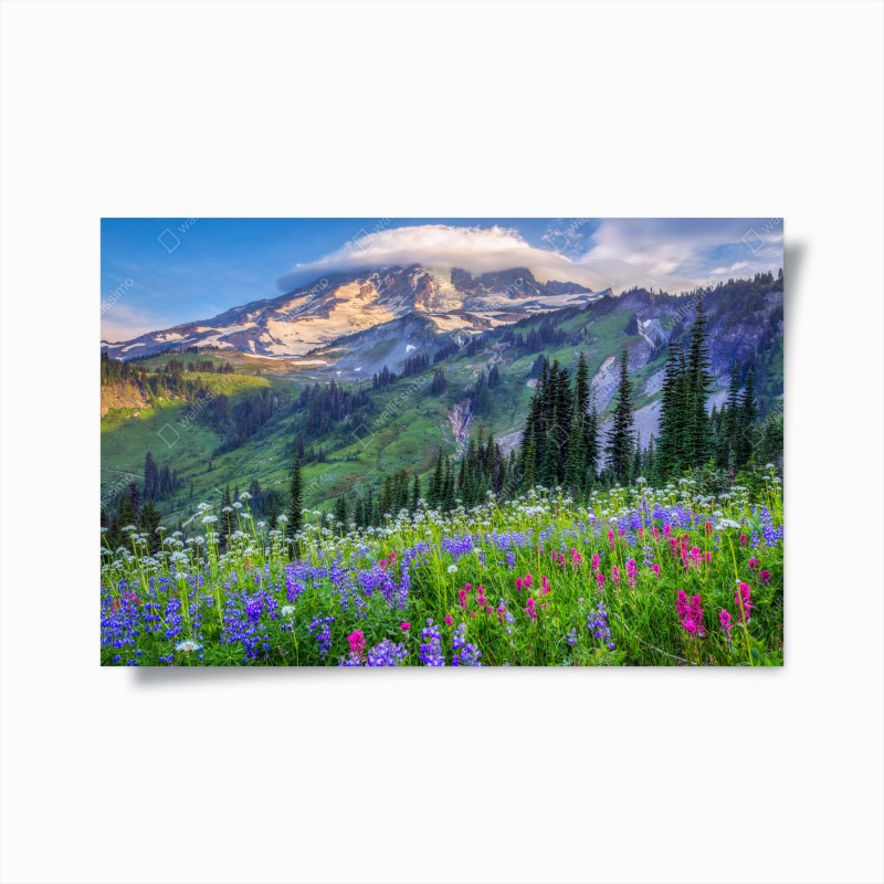 Berge – Wallnifity®