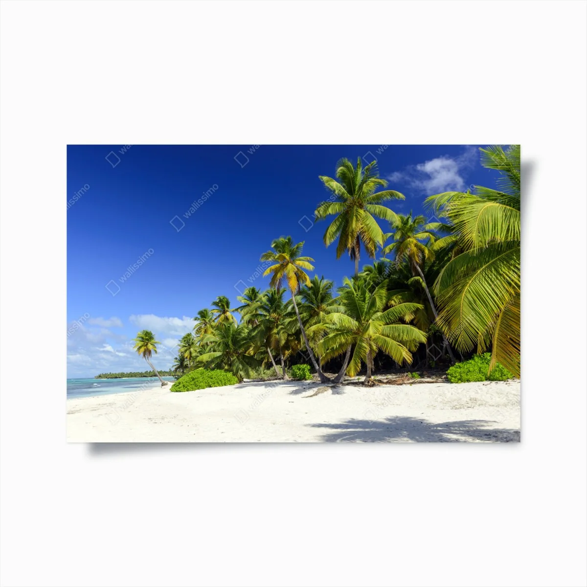 Poster ruhiger tropischer strand in Punta Cana – Wallnifity® Poster ruhiger tropischer strand in Punta Cana – Wallnifity®