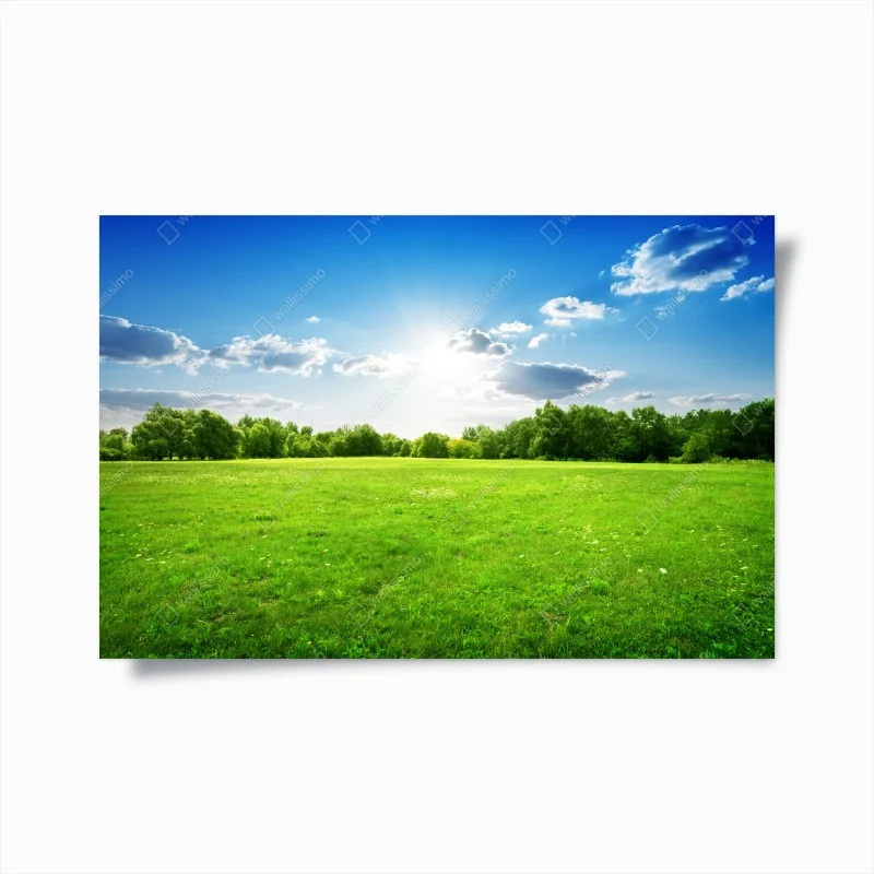 Natur – Wallnifity®
