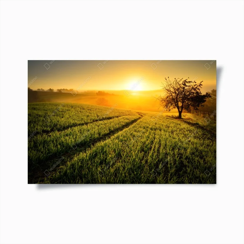 Natur – Wallnifity®