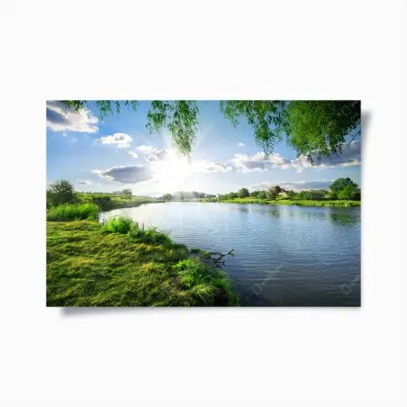 Poster sonnenbeschienenes flussufer mit üppigem grün – Wallnifity®