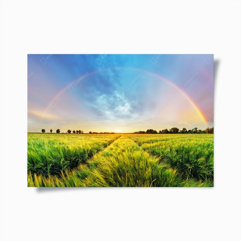 Natur – Wallnifity®
