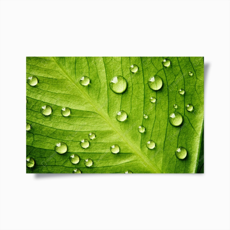 Badezimmer – Wallnifity®
