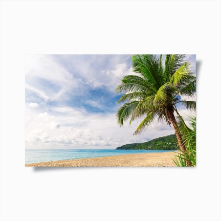 Poster tropischer strand in Phuket mit palme – Wallnifity®