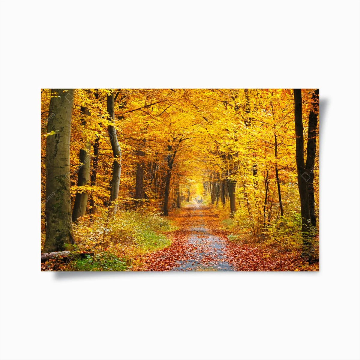 Poster goldener herbstwald pfad – Wallnifity® Poster goldener herbstwald pfad – Wallnifity®