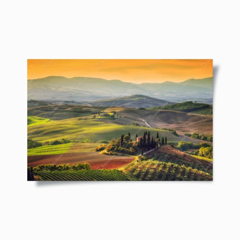 Landschaften – Wallnifity®