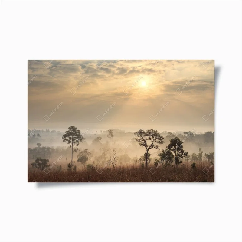 Natur – Wallnifity®