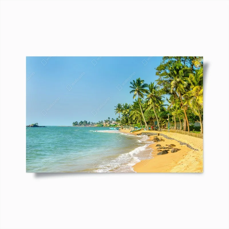 Poster tropischer palmenstrand