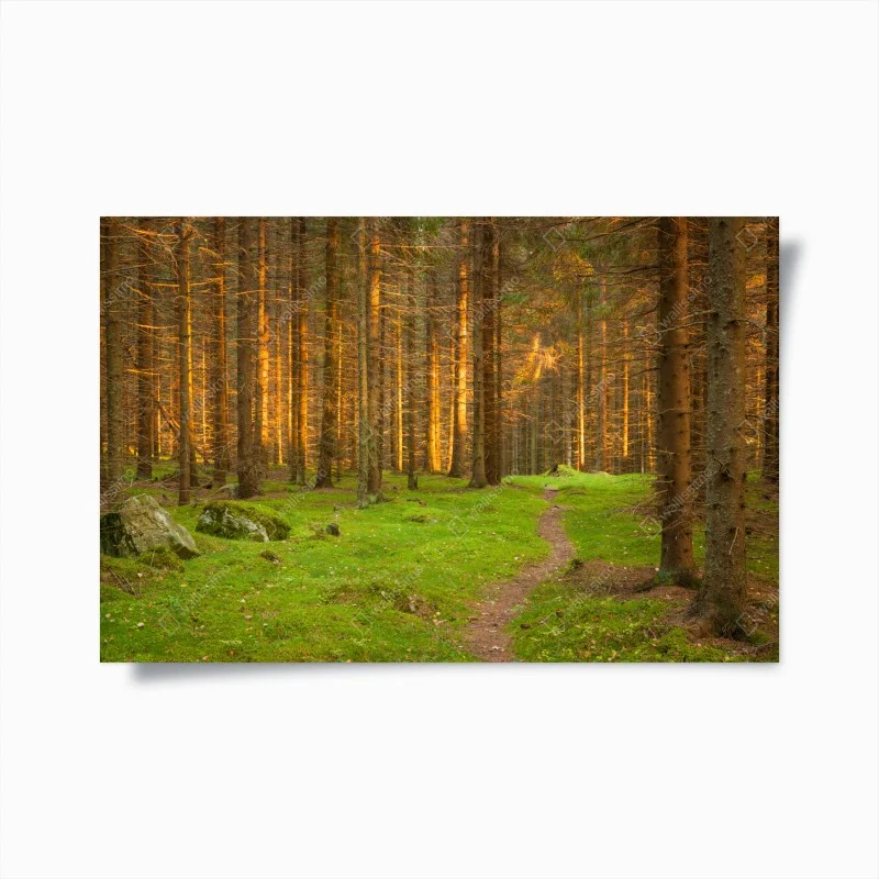 Natur – Wallnifity®