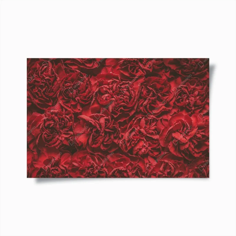 Vintage – Wallnifity®