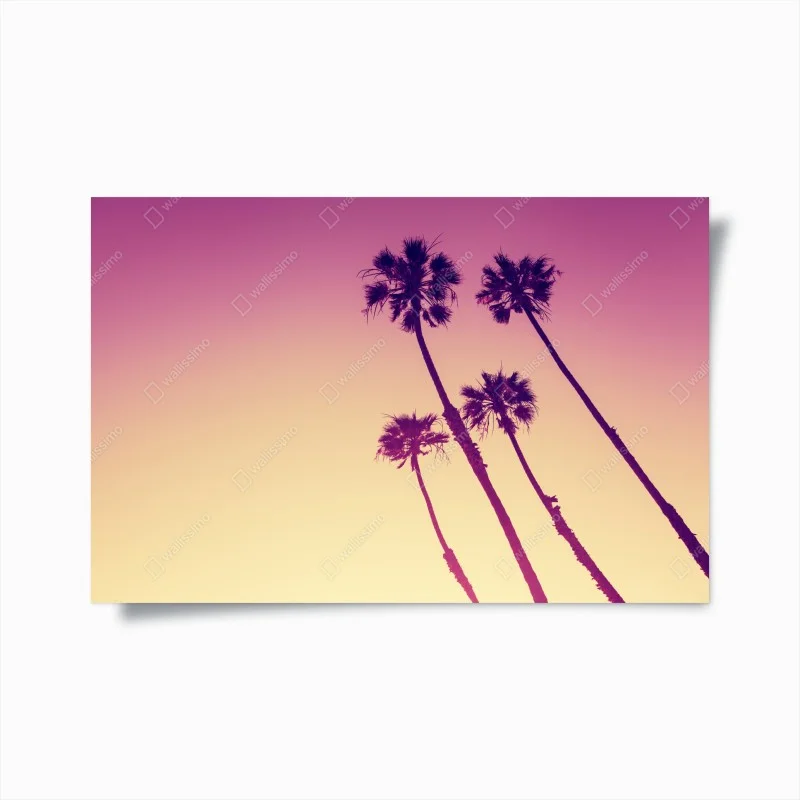 Boho – Wallnifity®