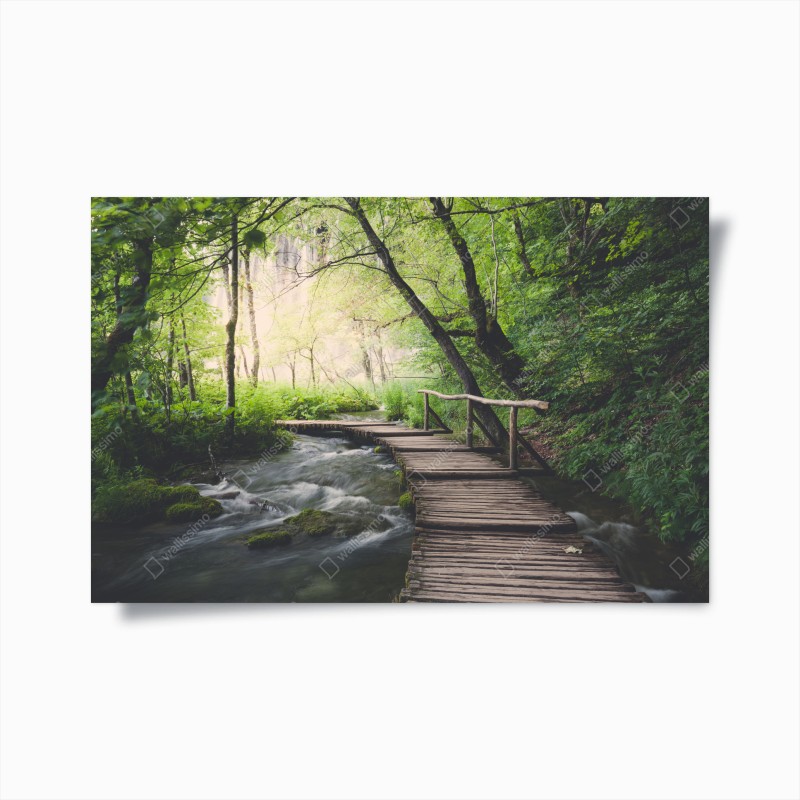 Wälder – Wallnifity®