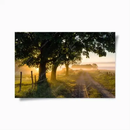 Poster sonnenbeschienener landweg im morgendunst – Wallnifity®