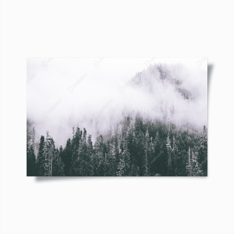 Wälder – Wallnifity®